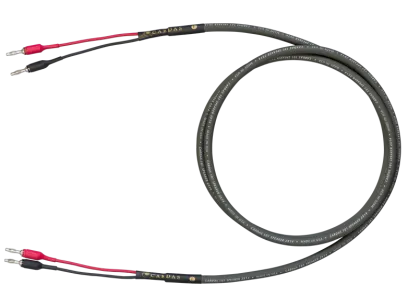 Cardas Speaker 101 2.5 m